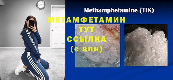 прущие грибы Чита