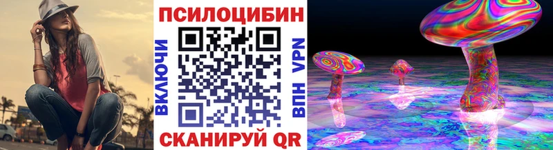 ОМГ ОМГ ТОР Череповец Псилоцибиновые грибы мицелий