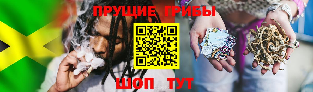 Галлюциногенные грибы мухоморы Череповец