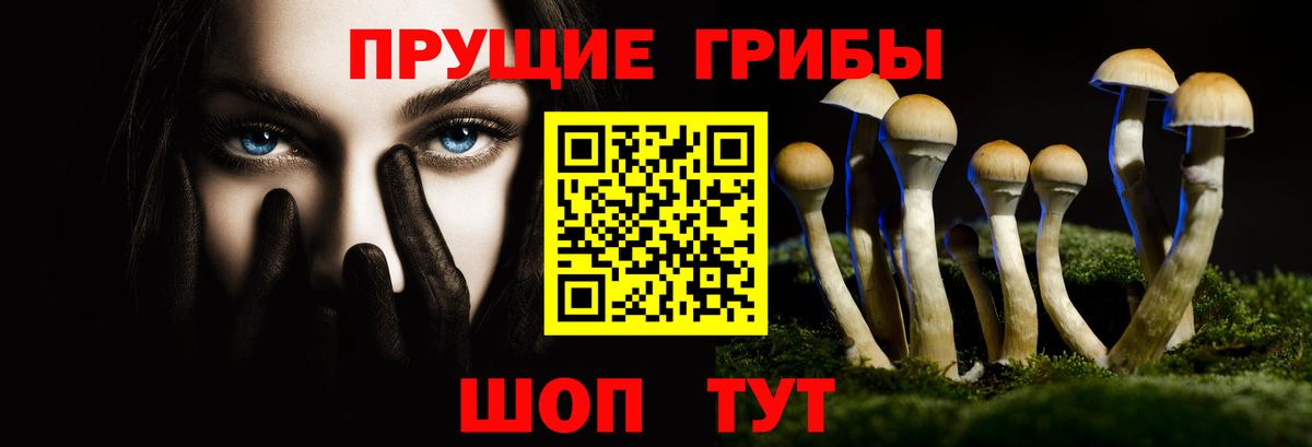 Псилоцибиновые грибы Cubensis  Псилоцибиновые грибы прущие грибы  Вход с VPN  Череповец 